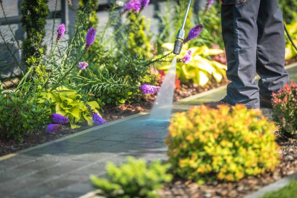 Best Spring Cleaning  in Bourbon, MO