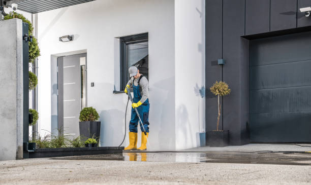 Best Roof Washing  in Bourbon, MO